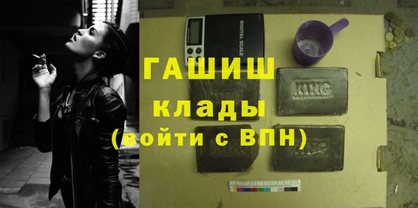PSILOCYBIN Алзамай