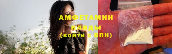 PSILOCYBIN Алзамай