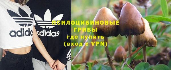 PSILOCYBIN Алзамай