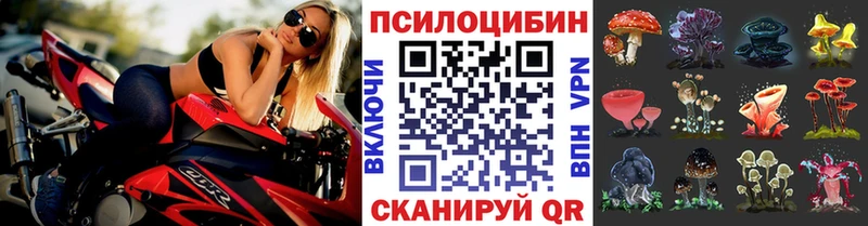 где продают   Каменка  Псилоцибиновые грибы прущие грибы 