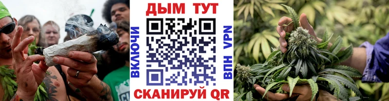 Бошки марихуана семена  мега как войти  Каменка 