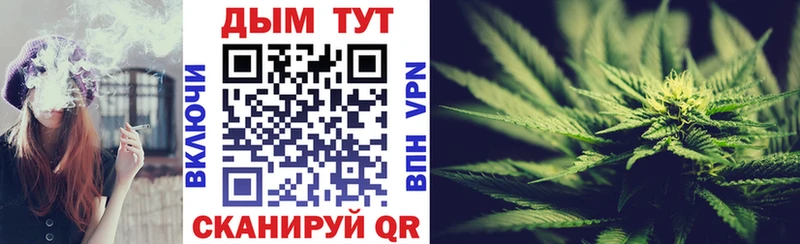 Конопля индика Каменка